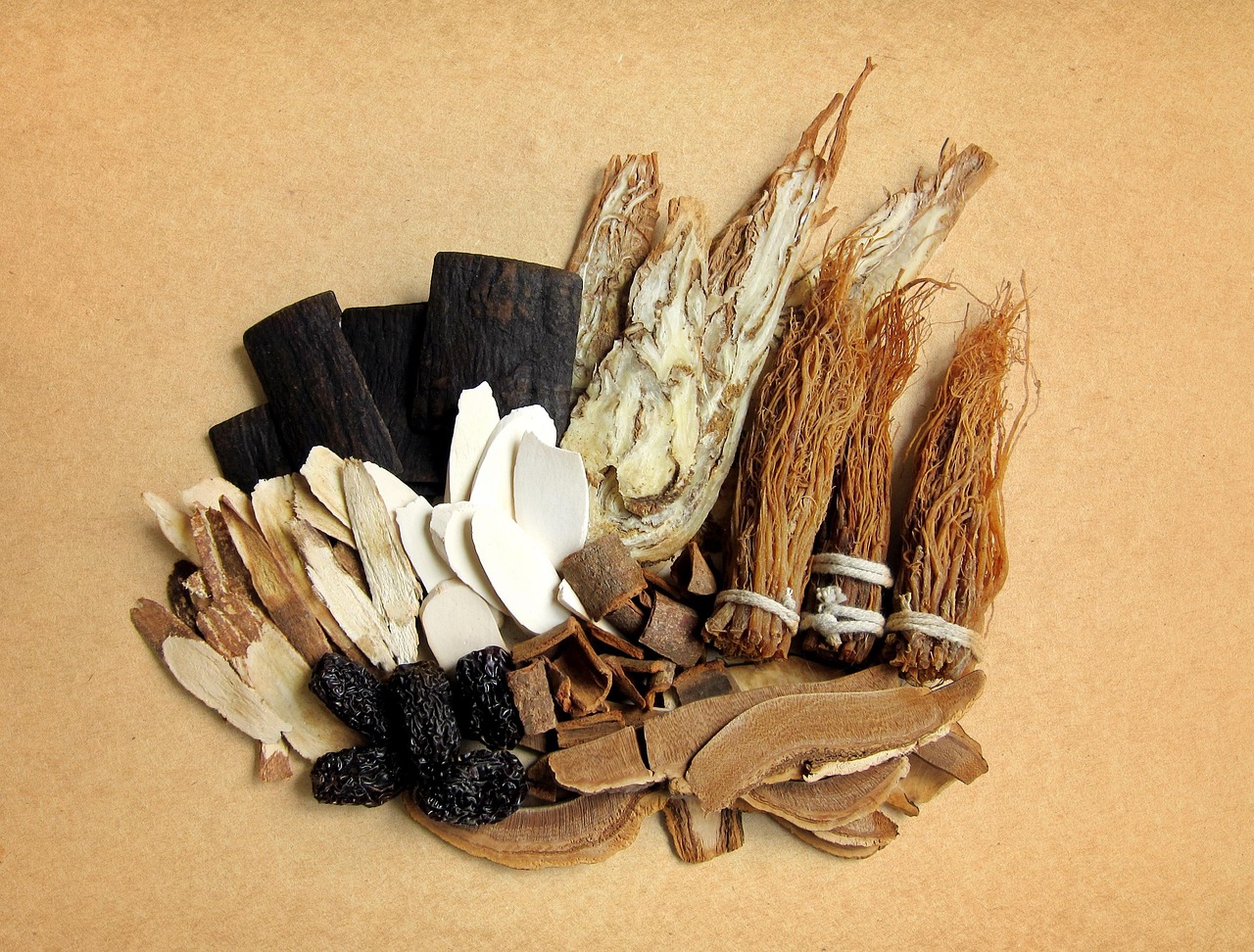 Dried Chinese herbs on a tray: ginseng roots, pale slices, dark berries, and woody cross-sections