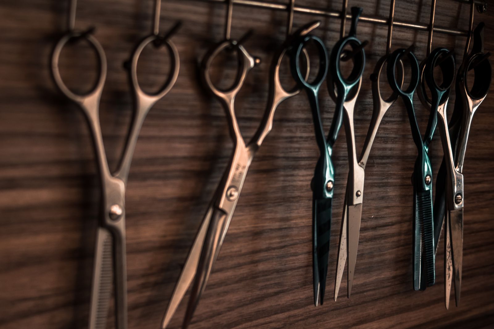Shears on the rack