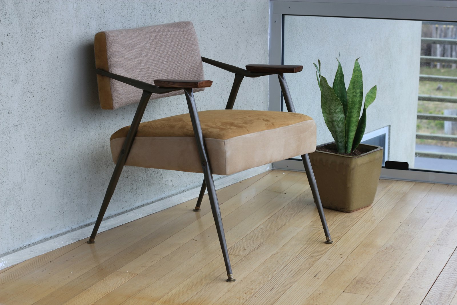 A woven armchair in a bright room beside a snake plant.