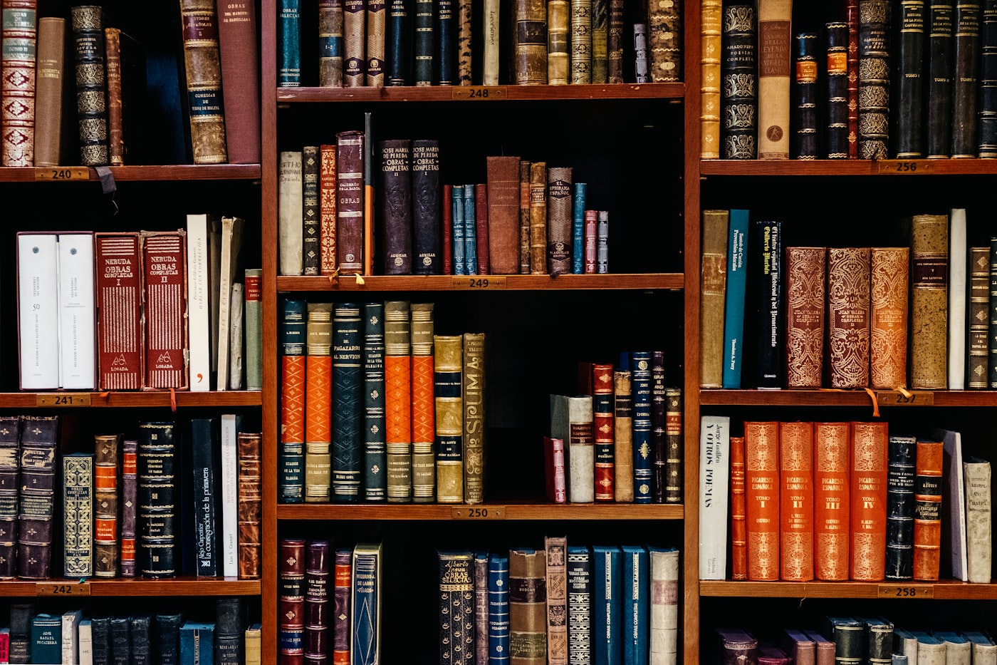 Aisle of used books on wooden shelves