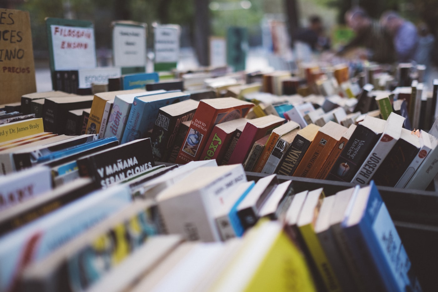 Shop window light on a book display